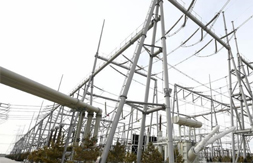 國社“寧”聚力|秋高氣爽行遍塞上 發展新曲寫給你聽