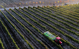 國社“寧”聚力|揚帆起航，筑就紫色夢想