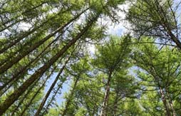 國社“寧”聚力|先行區建設邁出堅實步伐